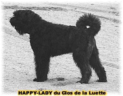 HAPPY LADY du Clos de la Luette © Elevage du Clos de la Luette